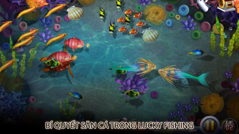 Bí quyết săn cá trong Lucky Fishing