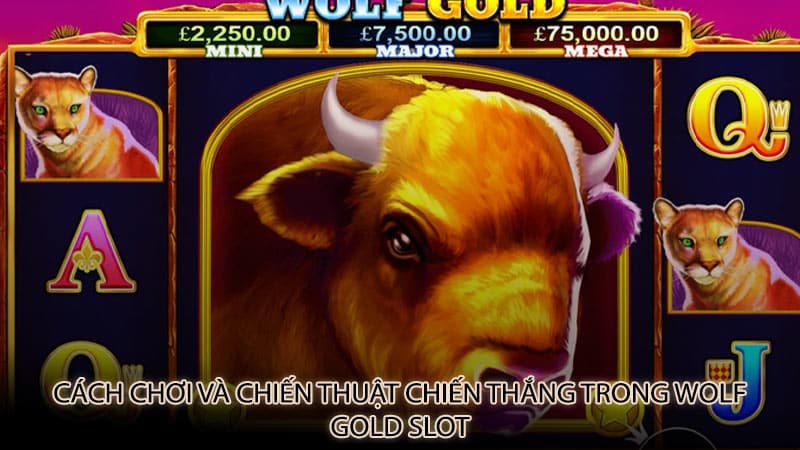 Cách chơi và chiến thuật chiến thắng trong Wolf Gold slot