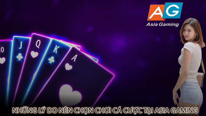 Những lý do nên chọn chơi cá cược tại Asia Gaming