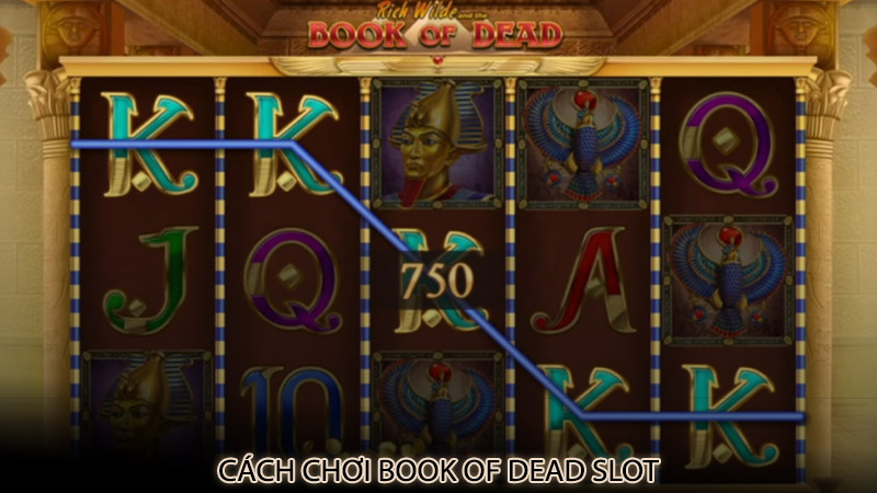 Cách chơi Book of Dead slot