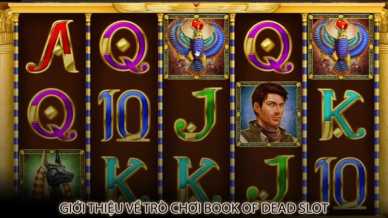 Giới thiệu về trò chơi Book of Dead slot