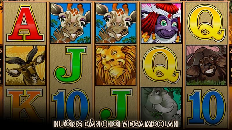 Hướng dẫn chơi Mega Moolah