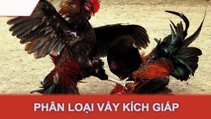 Phân loại vảy kích giáp