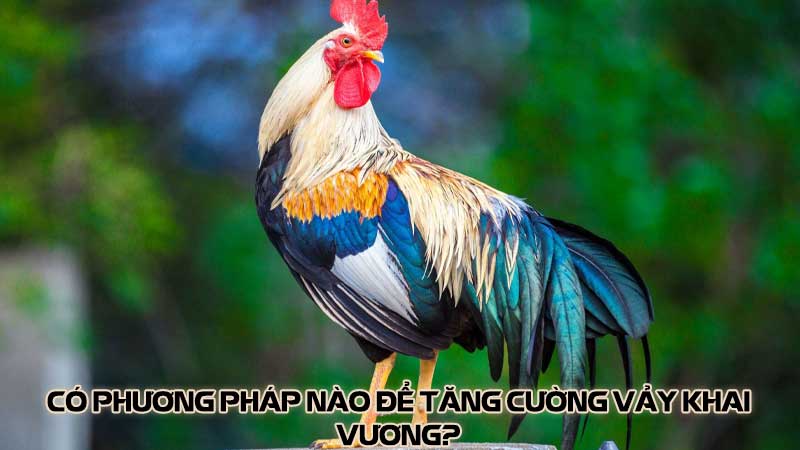 Có phương pháp nào để tăng cường vảy khai vương?